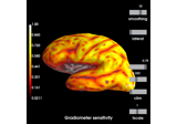 Display sensitivity maps for EEG and MEG sensors